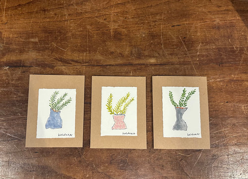 Note Cards  - Hand Painted  - Ferns