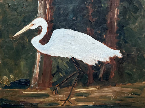 Egret's Nature  - Oil