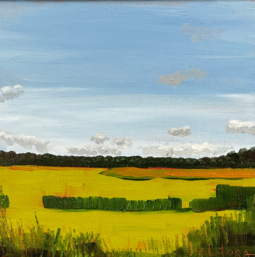 "Summer Algae on the Marsh"  Oil. 8" x 8"